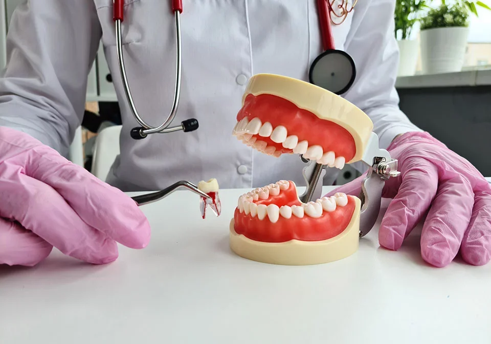 Extractions - Image